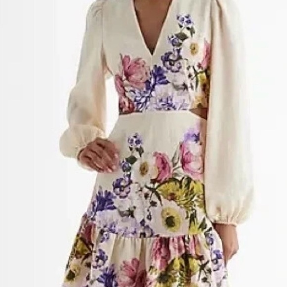 Express V dress - Picture 2 of 3